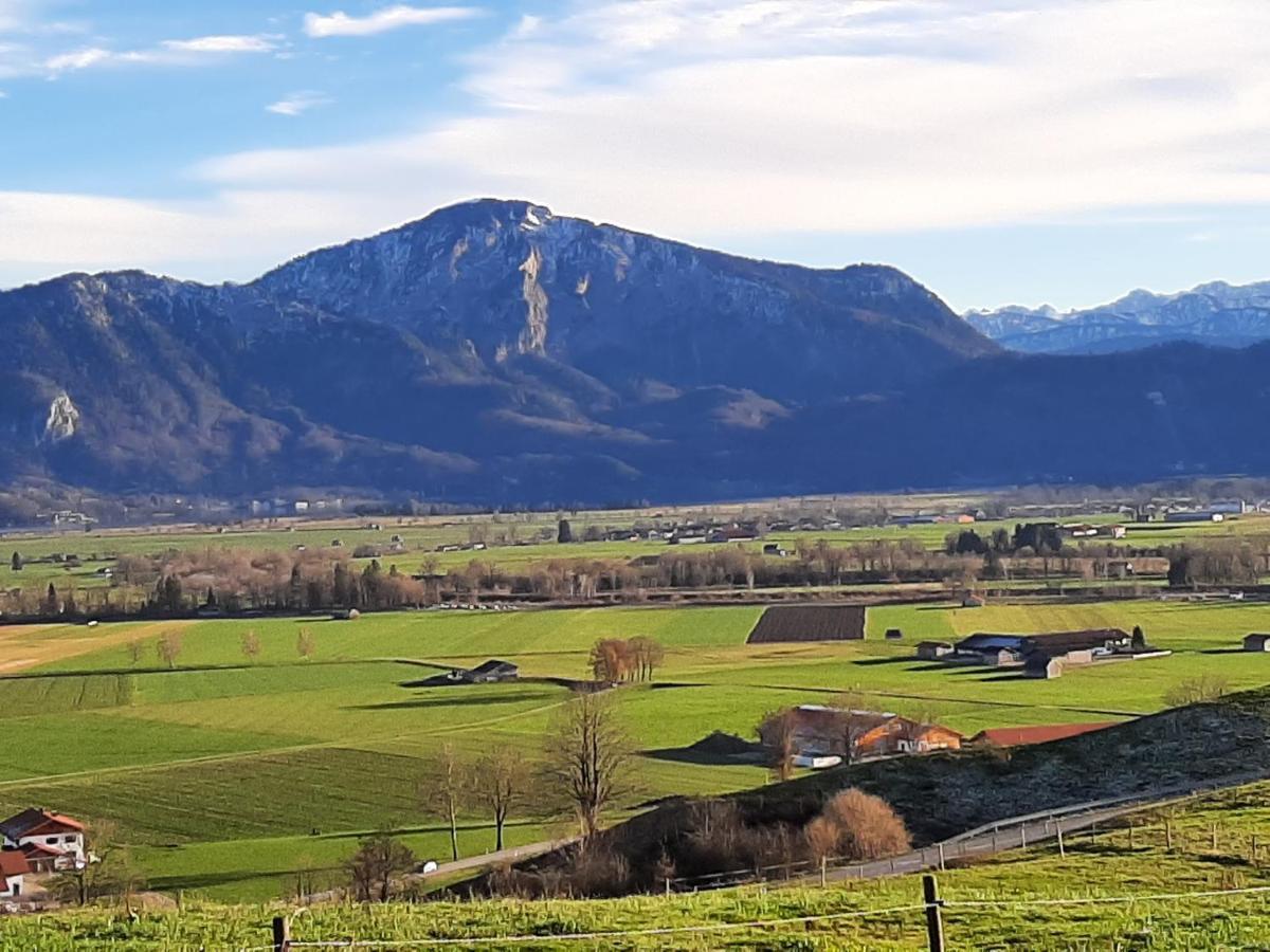 Hotel Alpspitz B&B Grainau Bagian luar foto